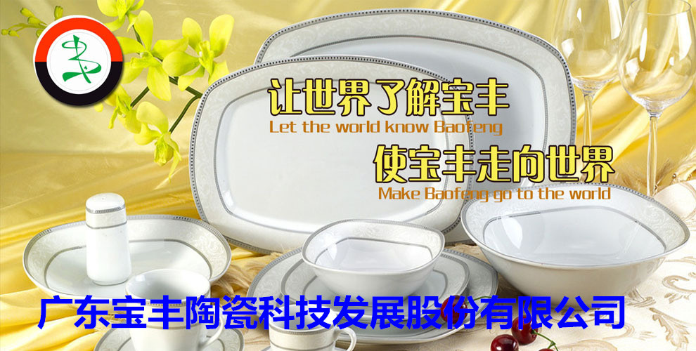 廣東寶豐陶瓷科技發(fā)展股份有限公司成立于2003年，占地總面積5萬(wàn)平方米，建筑面積3萬(wàn)平方米，2004年10月建成投產(chǎn)。現(xiàn)擁有兩條先進(jìn)遂道窯生產(chǎn)線(xiàn),主要生產(chǎn)中高檔日用陶瓷，產(chǎn)品遠(yuǎn)銷(xiāo)歐美，東南亞等國(guó)家。